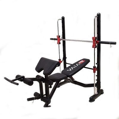 Customized Fitness Gym Ausrüstung Gewichtsbank OEM ODM Service angeboten