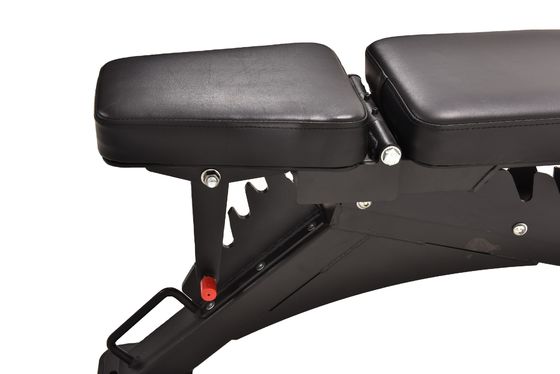 Verstellbares Gym Heavy Duty Bench für Multifunktion Fitness Übung in 1210x742x450mm Größe